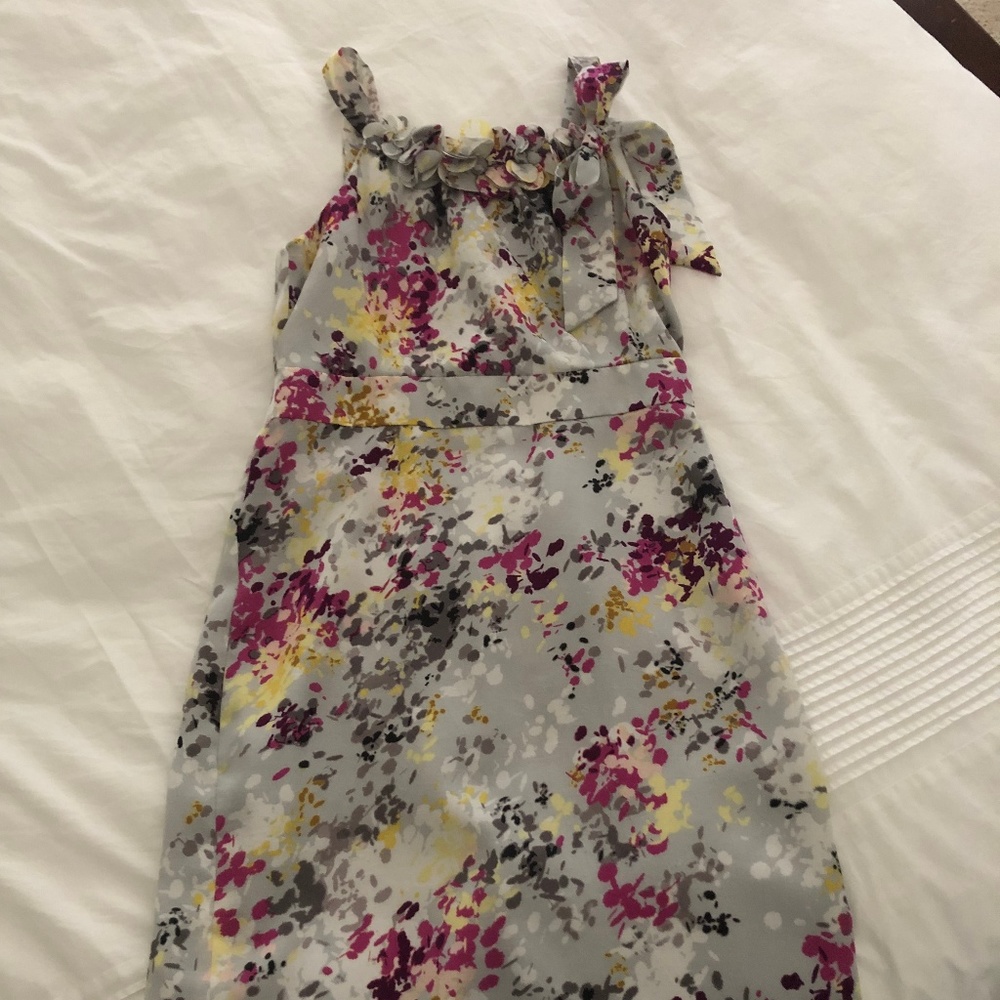 Ann Taylor Loft Dress